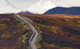El oleoducto TransAlaska tiene más de 1.200 kilómetros de norte a sur de Alaska.