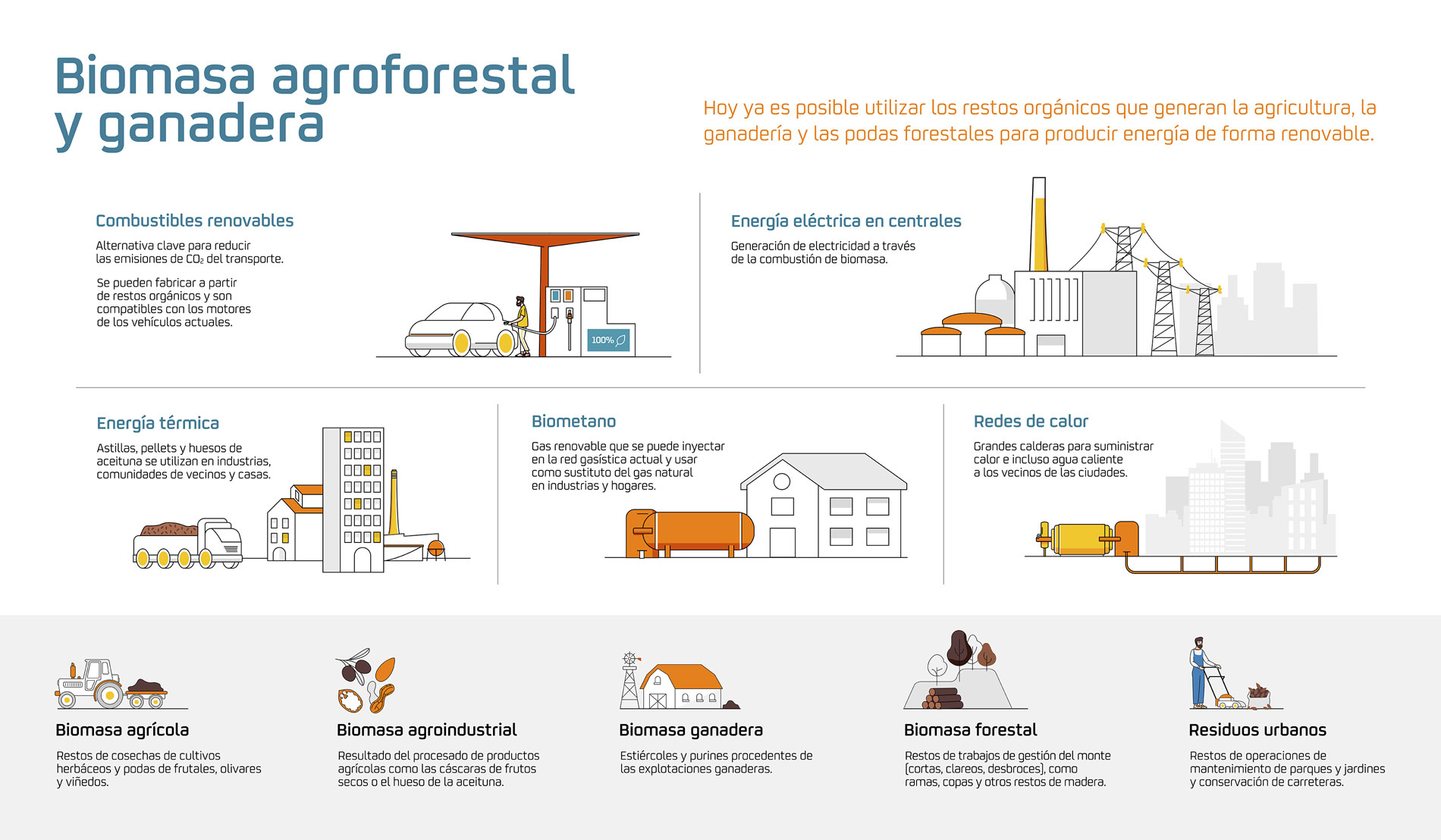 Infografia Biomasa