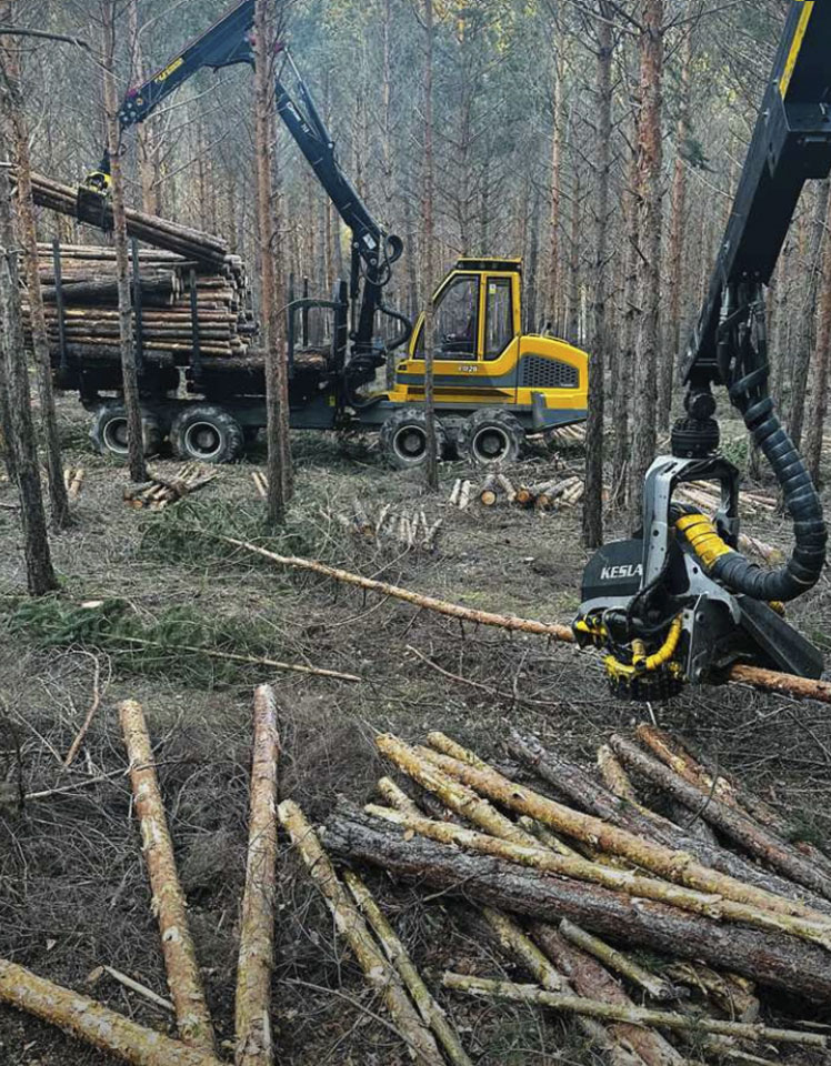 La biomasa agroforestal y ganadera, clave para la transición energética y la revitalización del campo español 