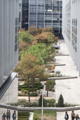Acción y dividendo: Repsol, premiada por su excelencia en el arte de comunicar