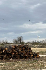 La biomasa agroforestal y ganadera, clave para la transición energética y la revitalización del campo español 